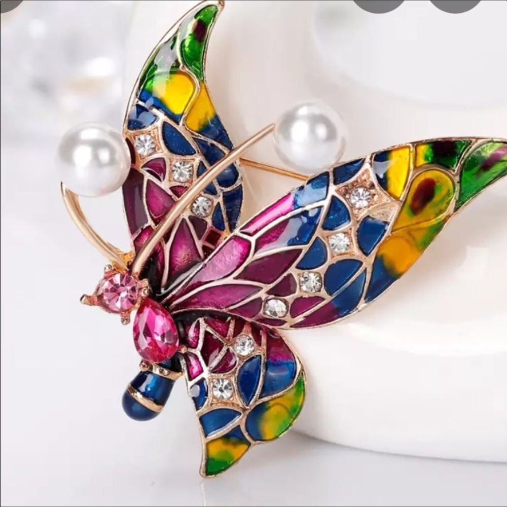 🆕 Butterfly 🦋 Brooch